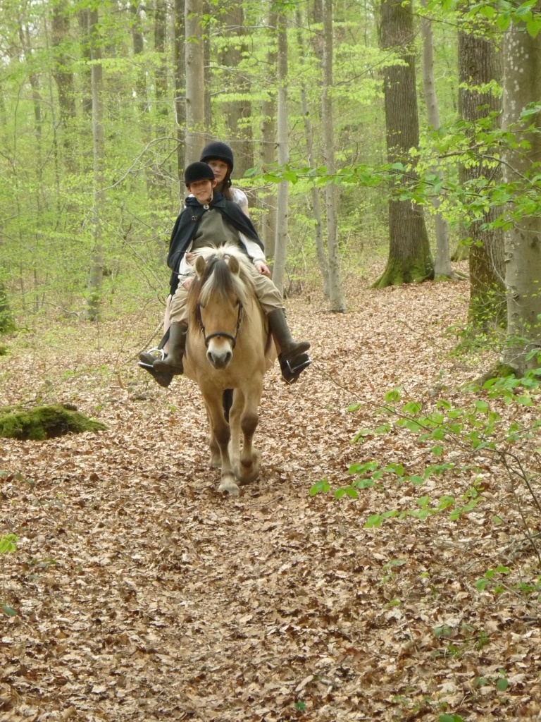 Paardrijden kan in de omgeving van Chanly. Het is mogelijk voor zowel beginners als gevorderden.
